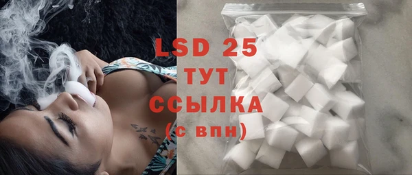 стаф Белокуриха