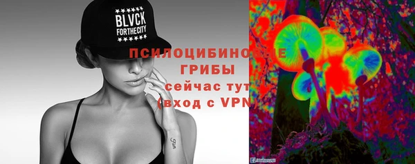 спиды Богородск