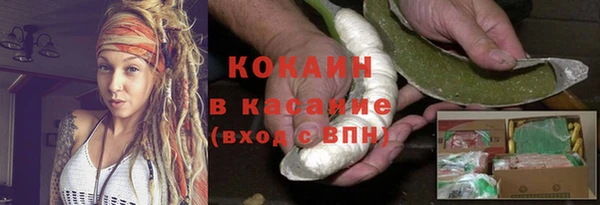 спиды Богородск
