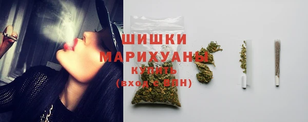 спиды Богородск