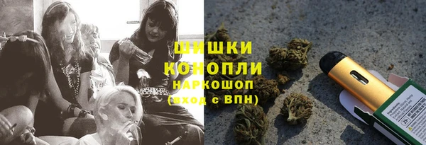 стаф Белокуриха