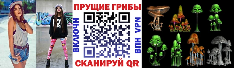 купить наркоту  Бирск  Галлюциногенные грибы Magic Shrooms 